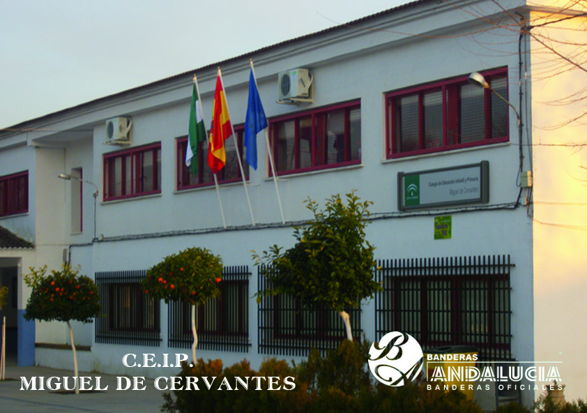 C.E.I.P. MIGUEL DE CERVANTES