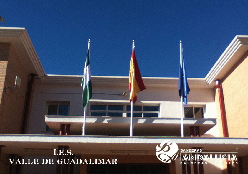 I.E.S. VALLE DE GUADALIMAR