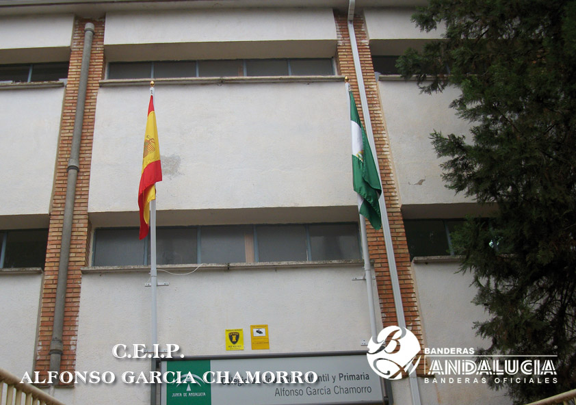 C.E.I.P. ALFONSO GARCIA CHAMORRO