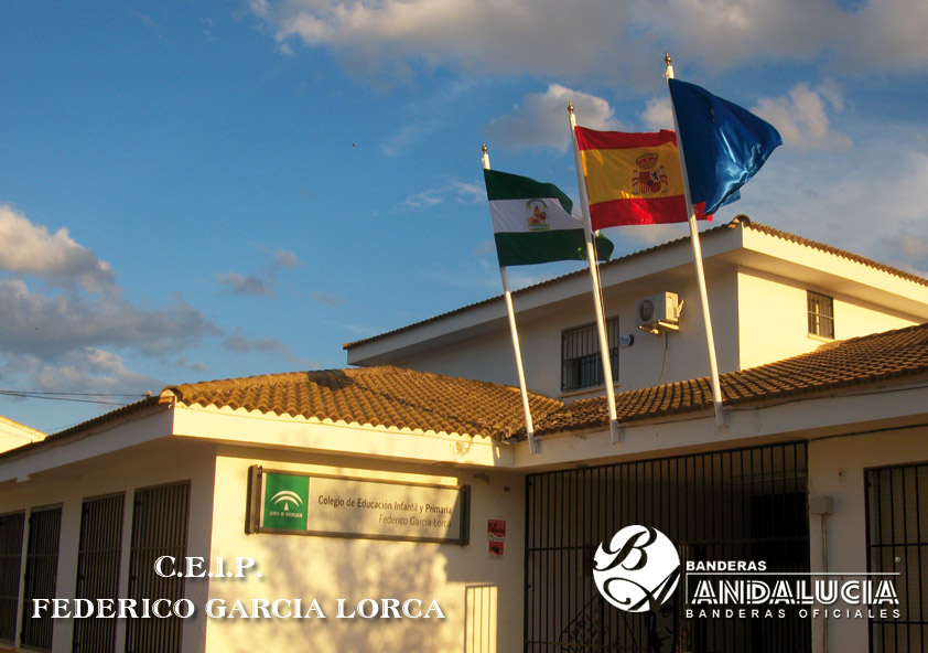 C.E.I.P. FEDERICO GARCÍA LORCA
