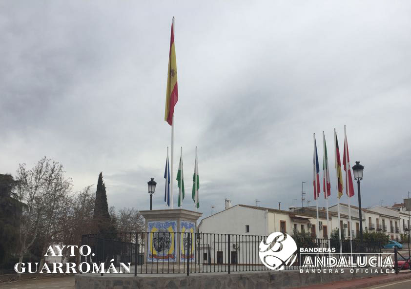 AYUNTAMIENTO DE GUARROMÁN