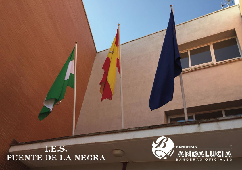 I.E.S. FUENTE DE LA NEGRA