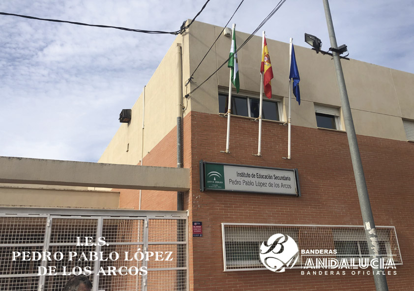 I.E.S. PEDRO PABLO LÓPEZ DE LOS ARCOS