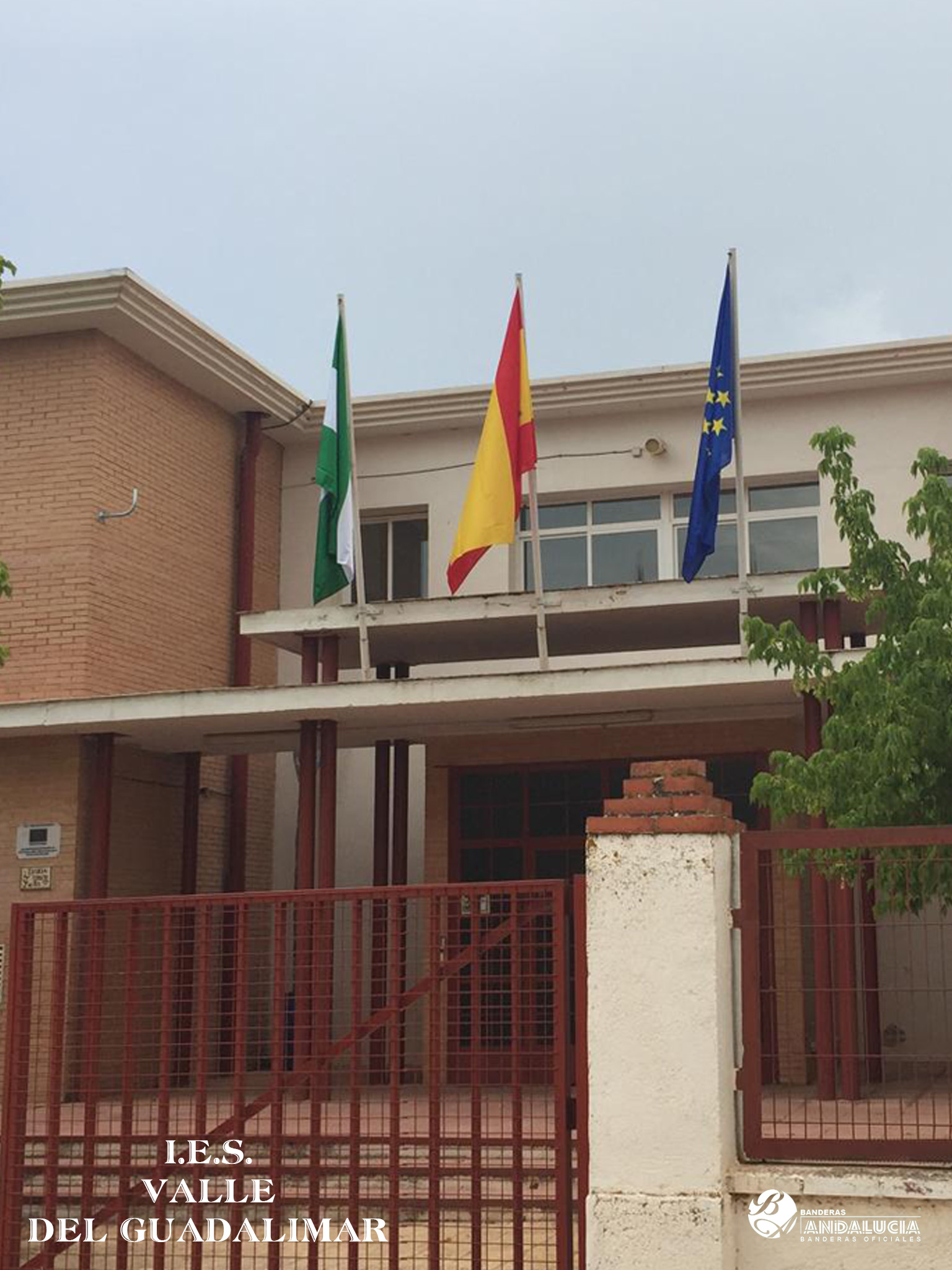 I.E.S. VALLE DEL GUADALIMAR
